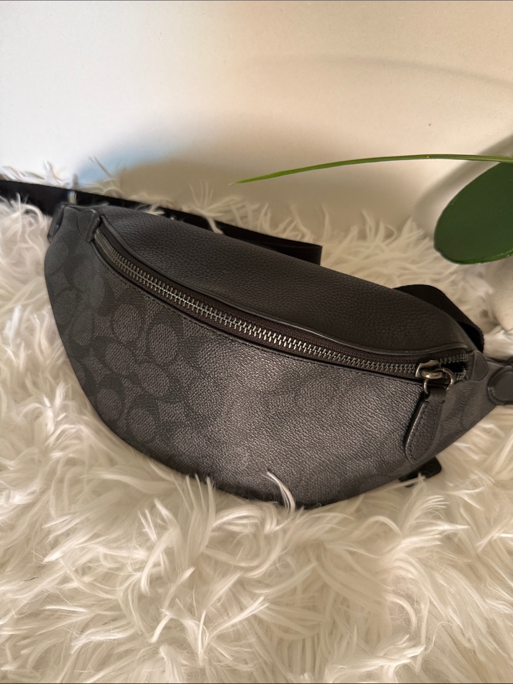 Coach Black/Charcoal Signature Canvas Belt Bag